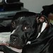 Lisa Duke Photo 9