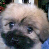 Sandy Johnson Photo 33