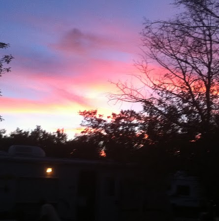 Donna Sampson Photo 37