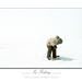 David Contant Photo 1