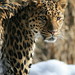Steven Endres Photo 18