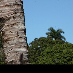 James Kimball Photo 24