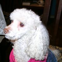 Joan Blevins Photo 6