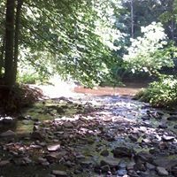 Rose Himes Photo 2
