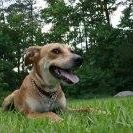 Buddy Garrett Photo 9
