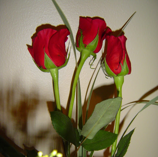 Michelle Mendenhall Photo 27