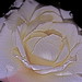 Ami Sage Photo 5