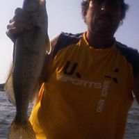 Timothy Rinehart Photo 10