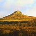 James Roseberry Photo 25