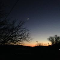 Michele Platt Photo 8