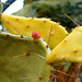 Diane Bloom Photo 33