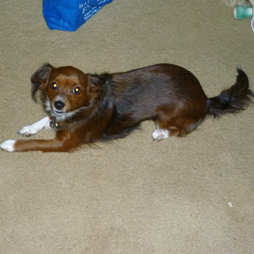 Ronald Dodson Photo 9