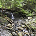 Heather Trail Photo 5
