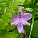 Susan Finley Photo 15