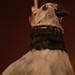 Theodore Vogel Photo 4