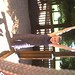 Jennifer Morales Photo 26