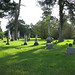Sharon Graves Photo 37