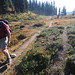 Heather Johnston Photo 33
