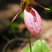 William Eddy Photo 52