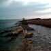 Kathleen Smart Photo 18