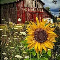 Vicki Stover Photo 17