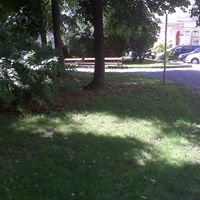 Edith Kiefer Photo 3