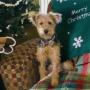 Lori Reeder Photo 16