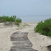 Debbie Yeomans Photo 11