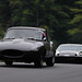 Douglas Fraser Photo 25