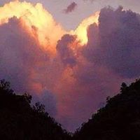 Robin Boyer Photo 39