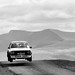 Patrick Walsh Photo 38