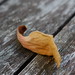Anne Gedney Photo 8