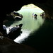 Phong Ho Photo 16