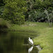 Laura Mcneely Photo 31