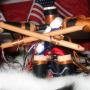 Monte Robinson Photo 30