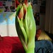 Amarylis Smith Photo 7