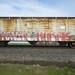Kevin Harris Photo 20