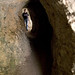 Christine Cave Photo 19