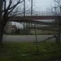 Leigh Meadows Photo 8