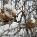 Sharon Newton Photo 11