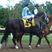 Jason Haskell Photo 18