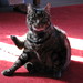 Elizabeth Evers Photo 20