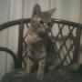 Debra Pruitt Photo 22