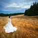 Bevan Brown Photo 8