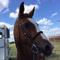 Nancy Helton Photo 15