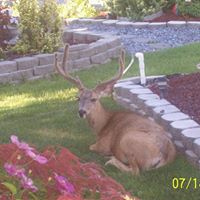 Ray Griffin Photo 38