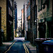 Bruce Lane Photo 39