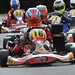 Paul Hardy Photo 57