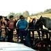 Kim Rice Photo 16