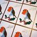 Robin Card Photo 13